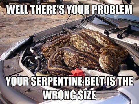 What is an alternator belt ?